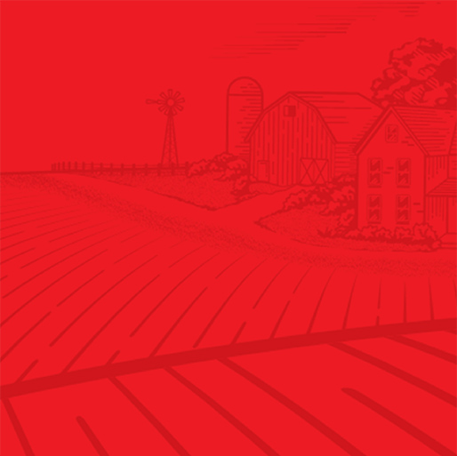 IGA