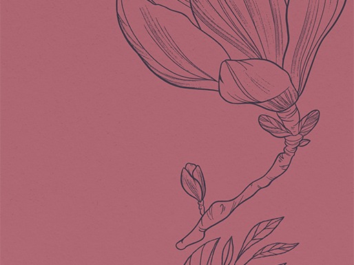 Portfolio cover
